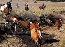 USA-Colorado-Colorado Cowboy Weekend